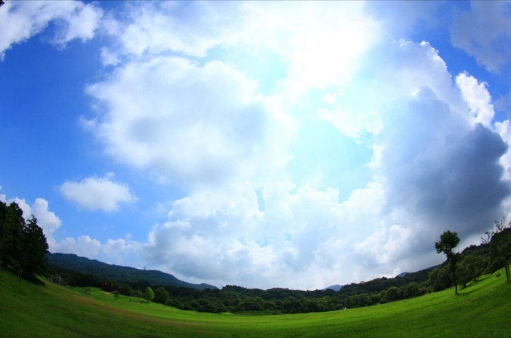 空と緑の広がる景色